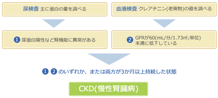 CKD(慢性腎臓病)の診断